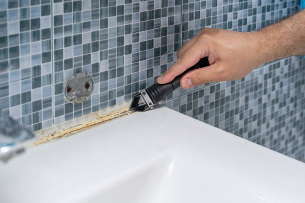 Professional Mold Removal in Florence, AZ
