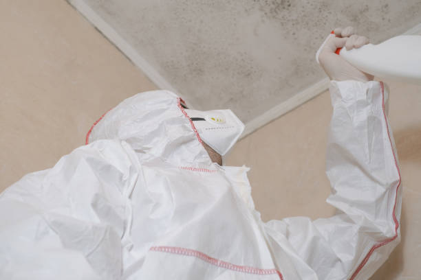 Crawl Space Mold Removal in Florence, AZ